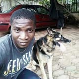 Ifeaka Chukwuka avatar