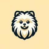 Pom's Notes avatar
