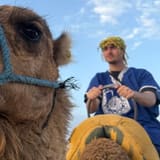 Siyabend Özdemir avatar