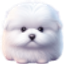 Benji logo