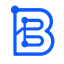 BRANDISEER logo