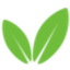Codetree logo