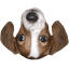 FrankerFaceZ logo