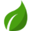 Strew logo